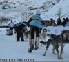 la grande odyssée 2012 les mushers engagés